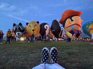 A selection of animal shaped balloons, showcasing Exclusive Ballooning’s unique hot air balloons.