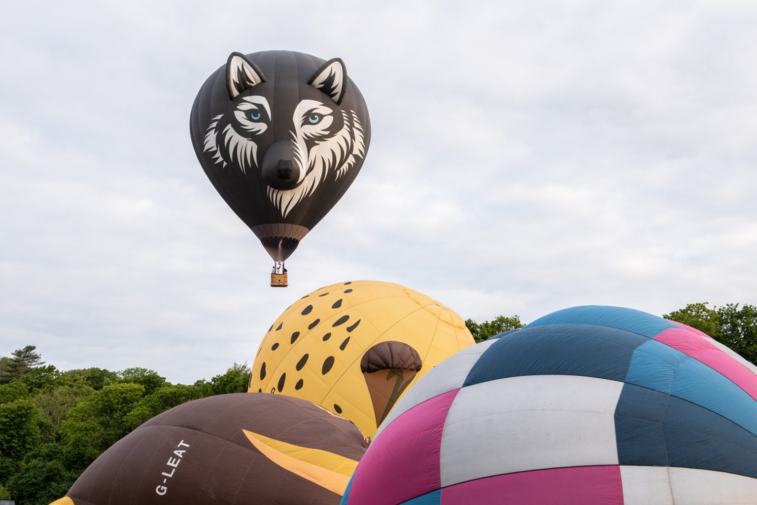 Isle of Wight Balloon Festival 2022 Exclusive Ballooning