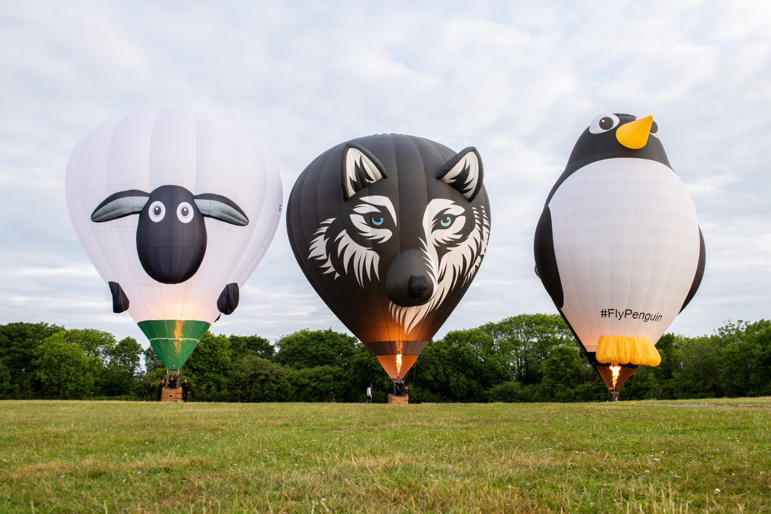 Isle of Wight Balloon Festival 2022 Exclusive Ballooning
