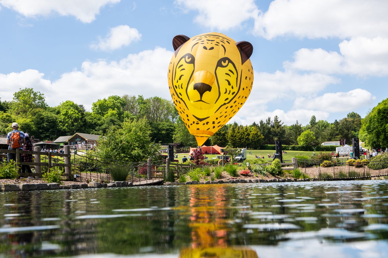 Isle of Wight Balloon Festival 2022 Exclusive Ballooning